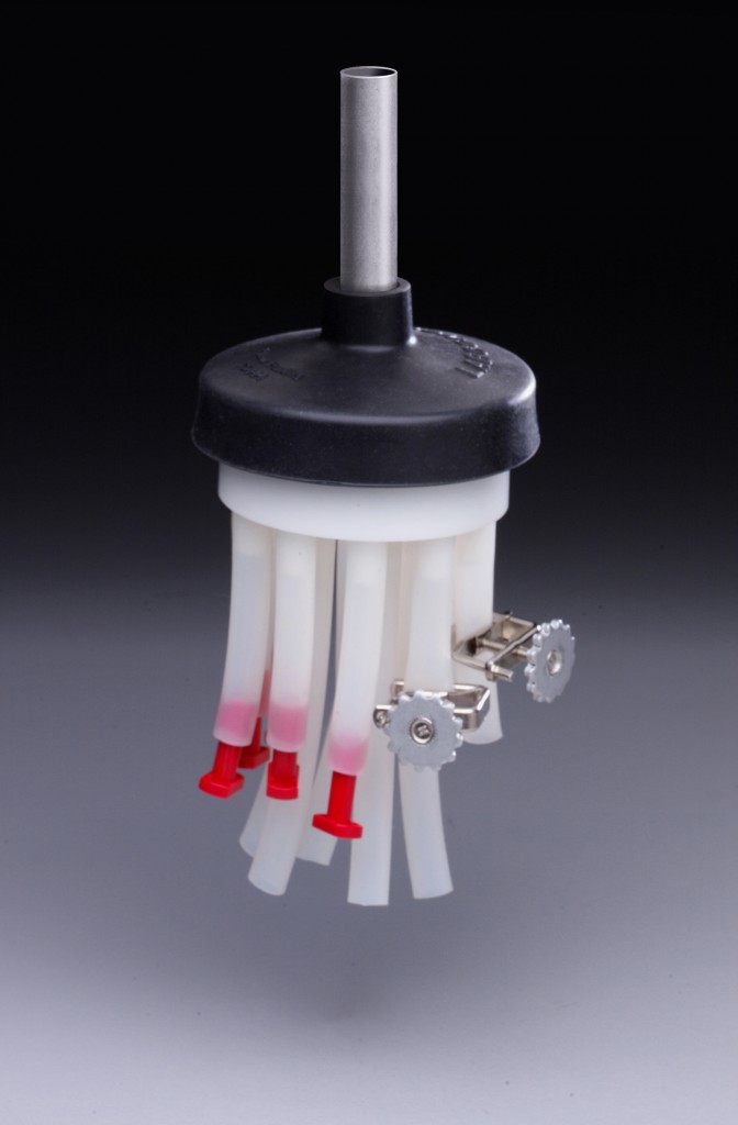 7205101 - Ampule Pod 7205101 - Ampule Pod